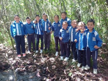 Descripción de la imagen