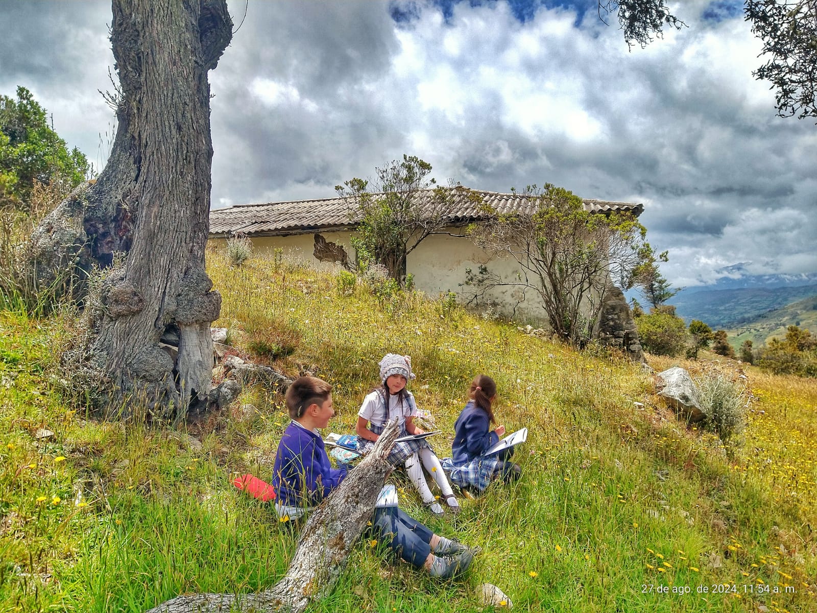 Descripción de la imagen