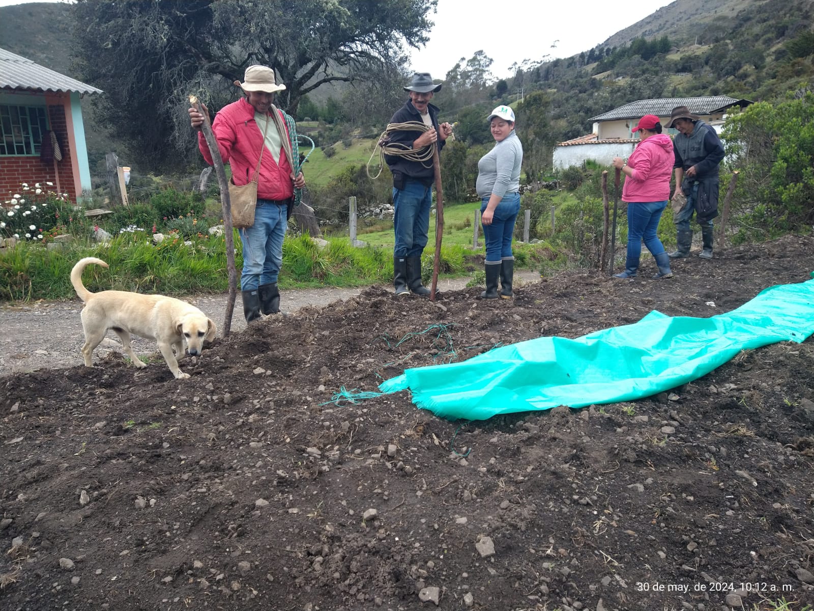 Descripción de la imagen