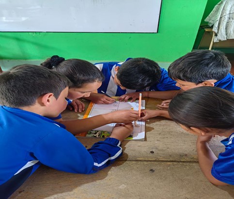 Descripción de la imagen