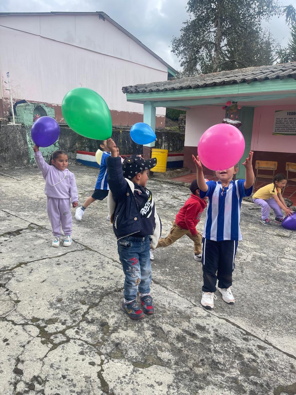 Descripción de la imagen