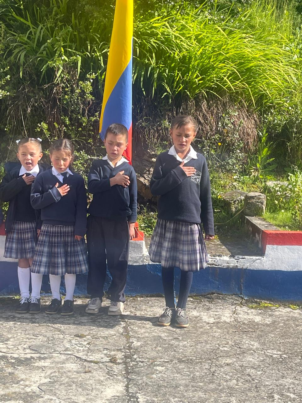 Descripción de la imagen