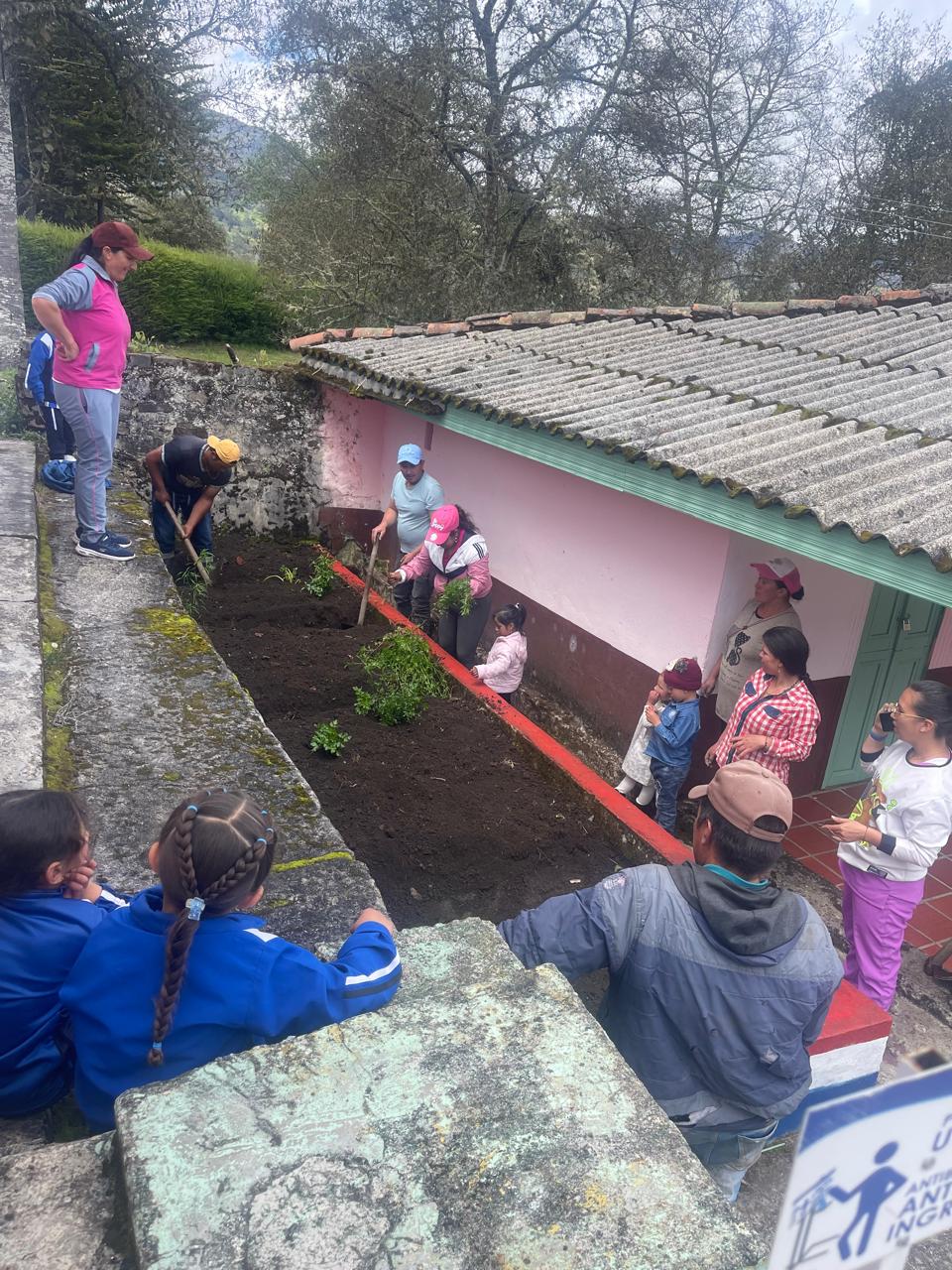 Descripción de la imagen