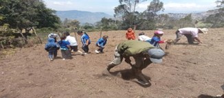 Descripción de la imagen