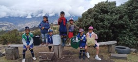 Descripción de la imagen