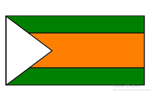 Bandera Institucional